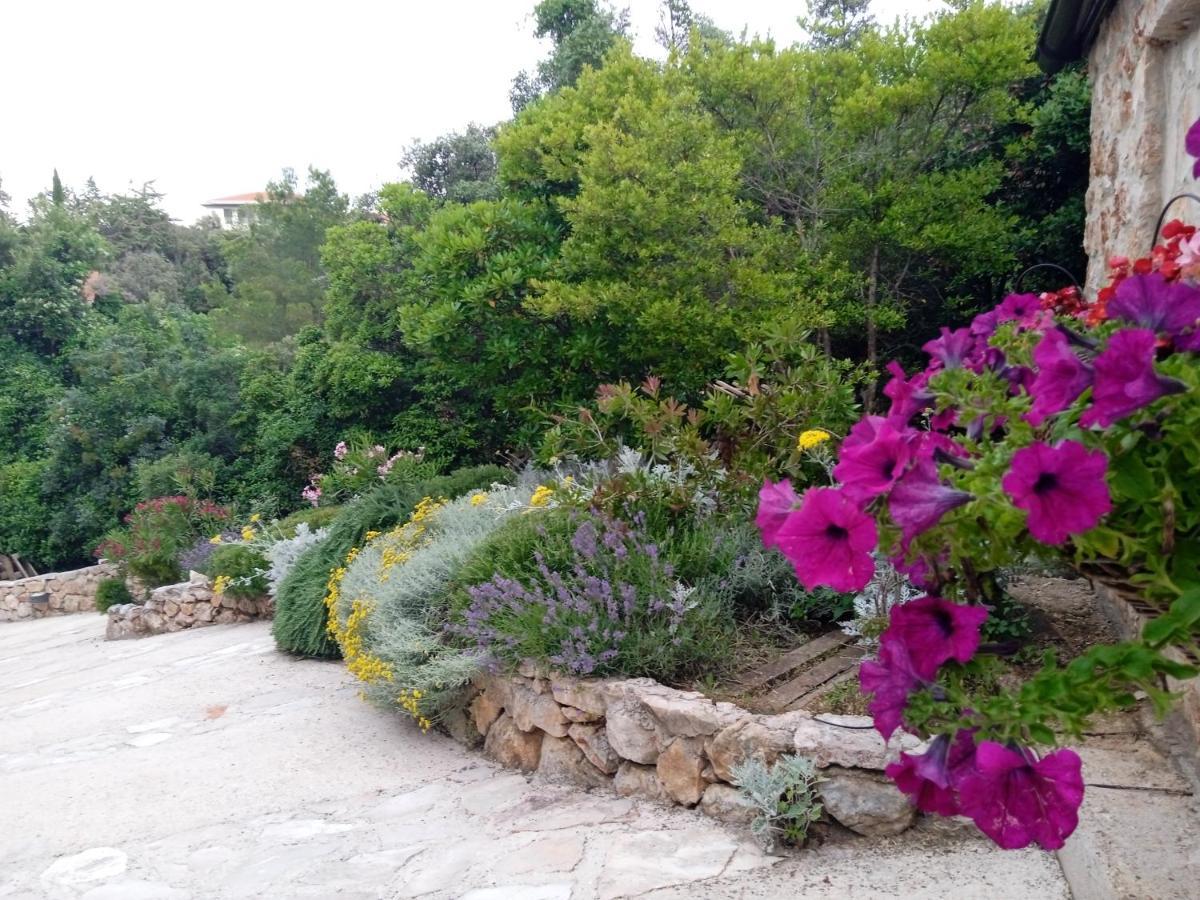 Lavender Hill Hvar Villa - Pool, Jacuzzi,Sauna,Bbq Stari Grad  Luaran gambar